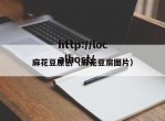 麻花豆原创（麻花豆腐图片）
